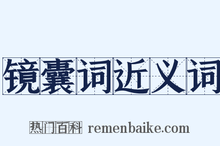 镜囊词近义词是什么意思的图片